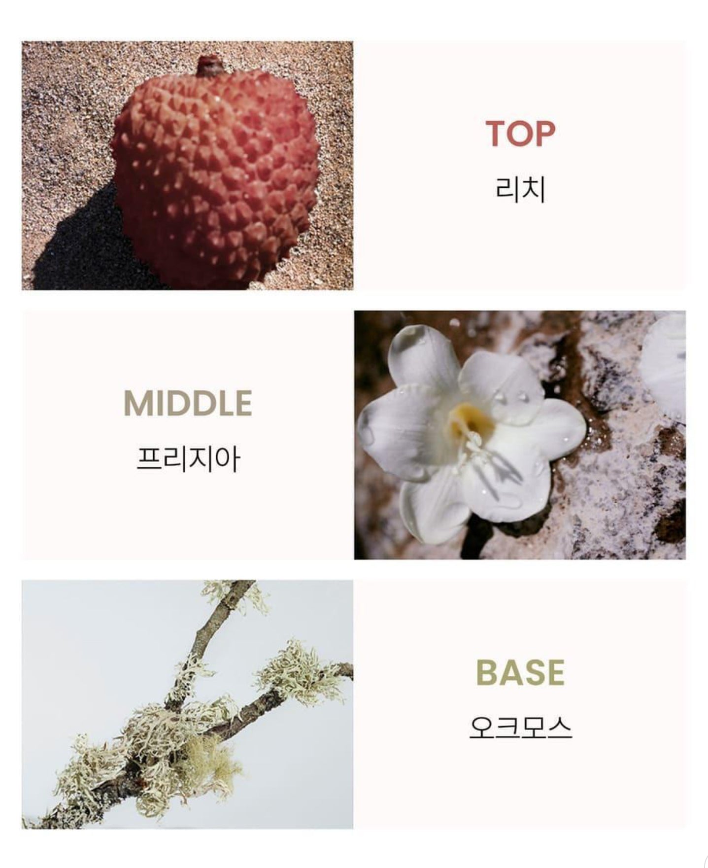 Chloe Nomade EDT 30ml