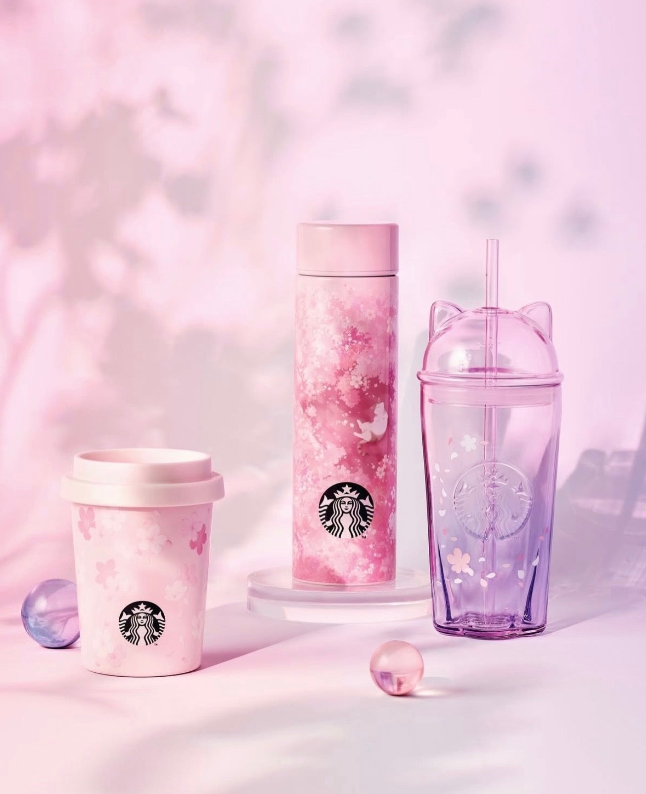 STARBUCKS KOREA - 2026 Cherry Blossom 'Blooming' Collection