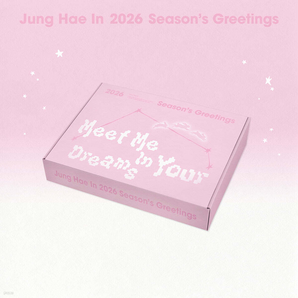 Jung Hae In 2026 Season’s Greetings [Meet Me In Your Dreams]