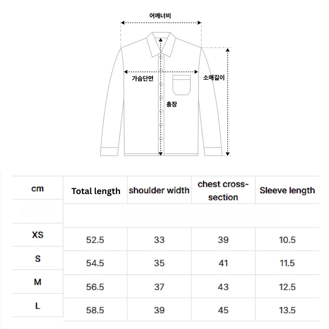 [Babymonster Asa Worn] SCULPTOR Sheer Pleated Hem Blouse