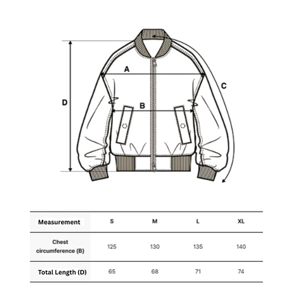 [Karina Pick] 25FW MLB Nylon Blocking Culsive Varsity Jacket Boston Red Sox