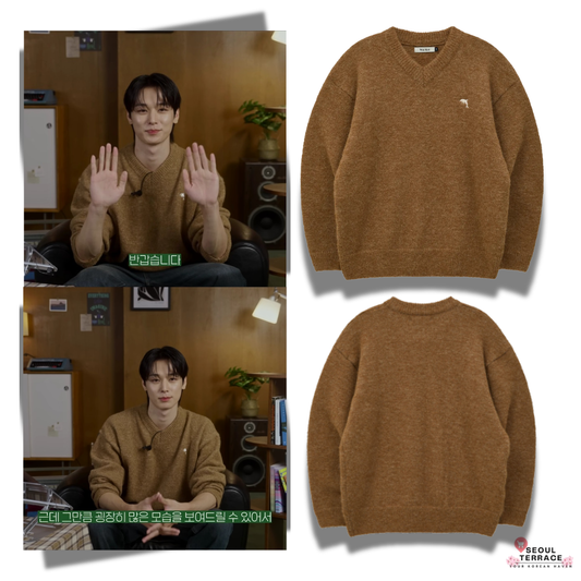 [THE BOYZ Juyeon Worn] Wai Kei Dolphin Hairy V-Neck Knit