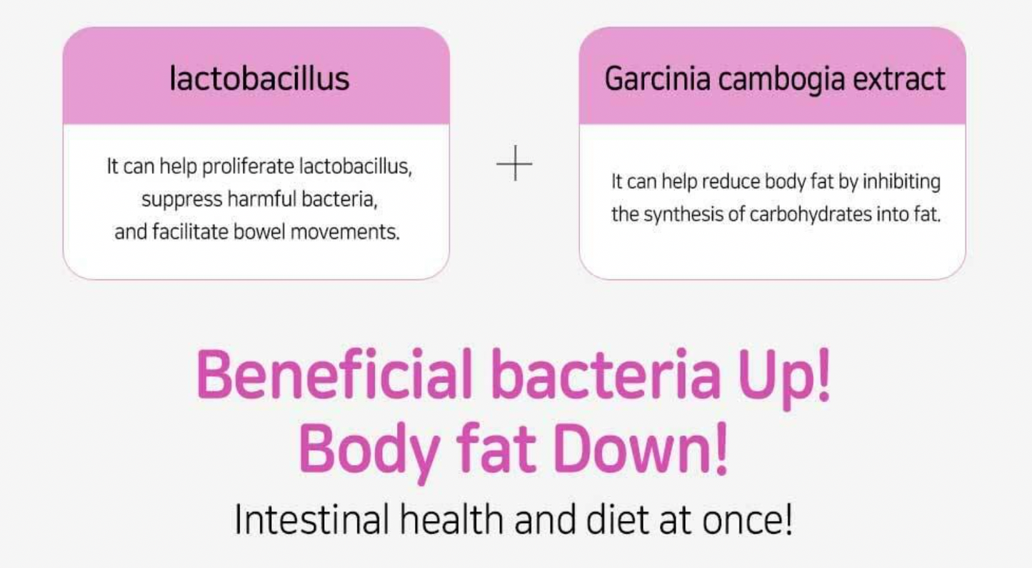 Lactofit Slim 30 packs (15 days)