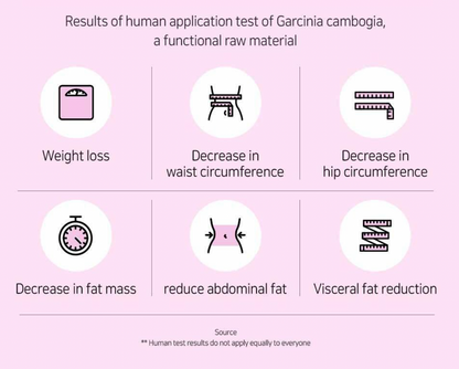 Lactofit Slim 30 packs (15 days)