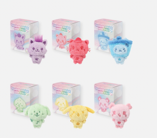 NCT WISH POP UP 2025  [FIND YOUR COLOR] MERCH MD