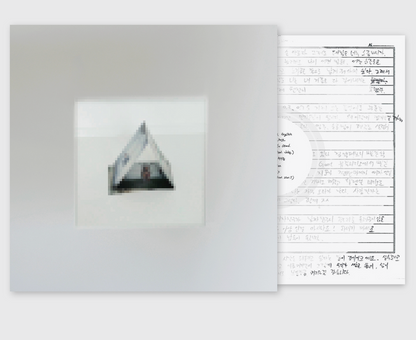 WONSTEIN - TENT / 1ST FULL ALBUM (Vinyl LP)