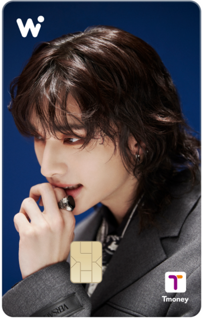 WOWPASS Stray Kids SKZ Official Card Limited Edition