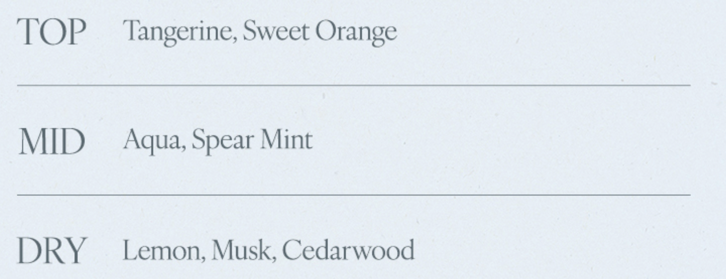 Afterblow x Day6 Wonpil  Eau de Parfum / Solid Perfume