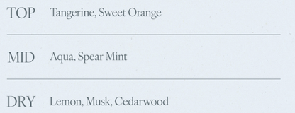 Afterblow x Day6 Wonpil  Eau de Parfum / Solid Perfume