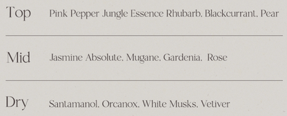 Afterblow x Day6 Wonpil  Eau de Parfum / Solid Perfume