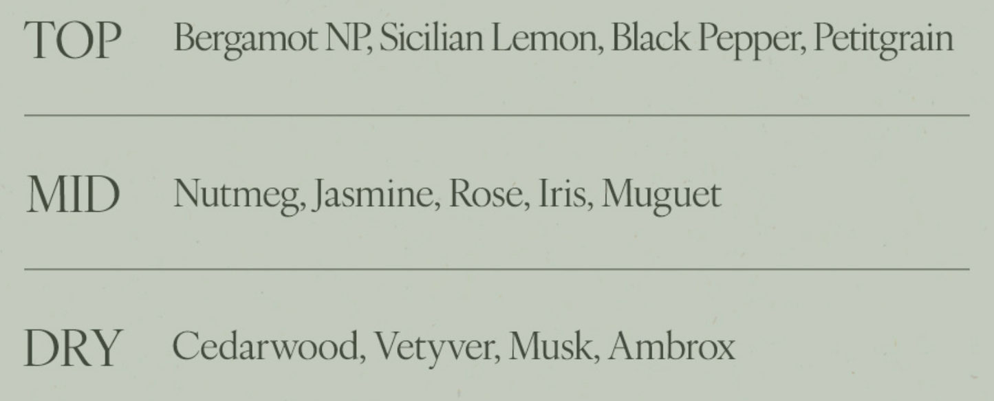 Afterblow x Day6 Wonpil  Eau de Parfum / Solid Perfume