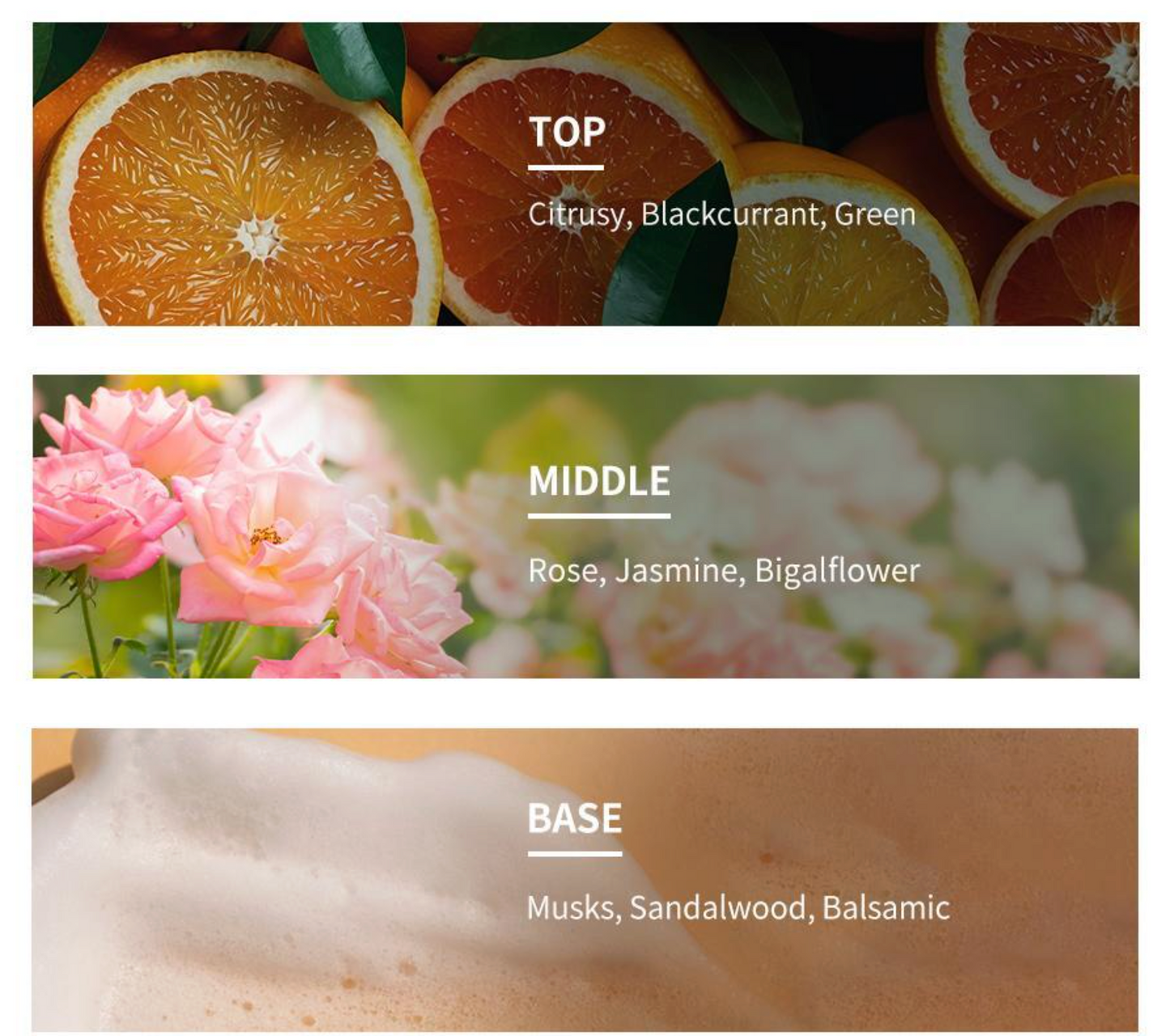 [Kang Daniel Pick] Park Jun Beauty Lab LPP Protein Treatment Plus 1,000ml