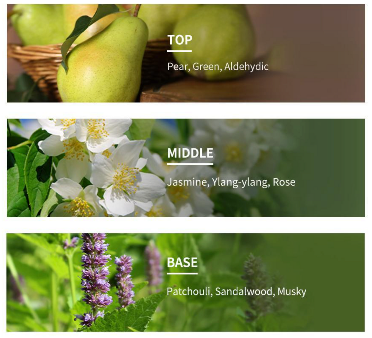 [Kang Daniel Pick] Park Jun Beauty Lab LPP Protein Treatment Plus 1,000ml