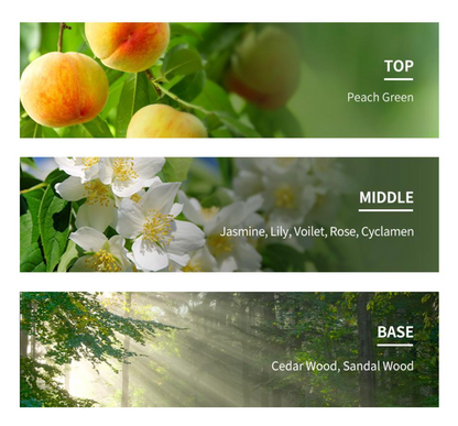 PARKJUN BEAUTY LAB Protein LPP Leave - In Treatment 200ml