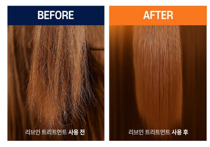 PARKJUN BEAUTY LAB Protein LPP - Collection (Shampoo, Treatment & Hair Oil)