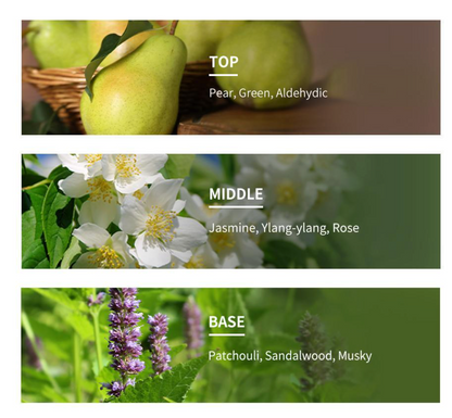 PARKJUN BEAUTY LAB Protein LPP - Collection (Shampoo, Treatment & Hair Oil)