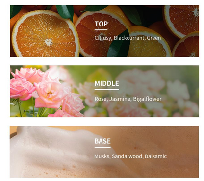 PARKJUN BEAUTY LAB Protein LPP - Collection (Shampoo, Treatment & Hair Oil)