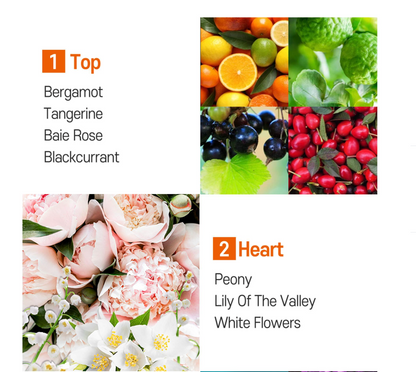 PARKJUN BEAUTY LAB Protein LPP Damage Care Hair Oil 105ml