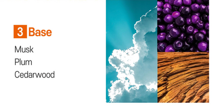 PARKJUN BEAUTY LAB Protein LPP Damage Care Hair Oil 105ml