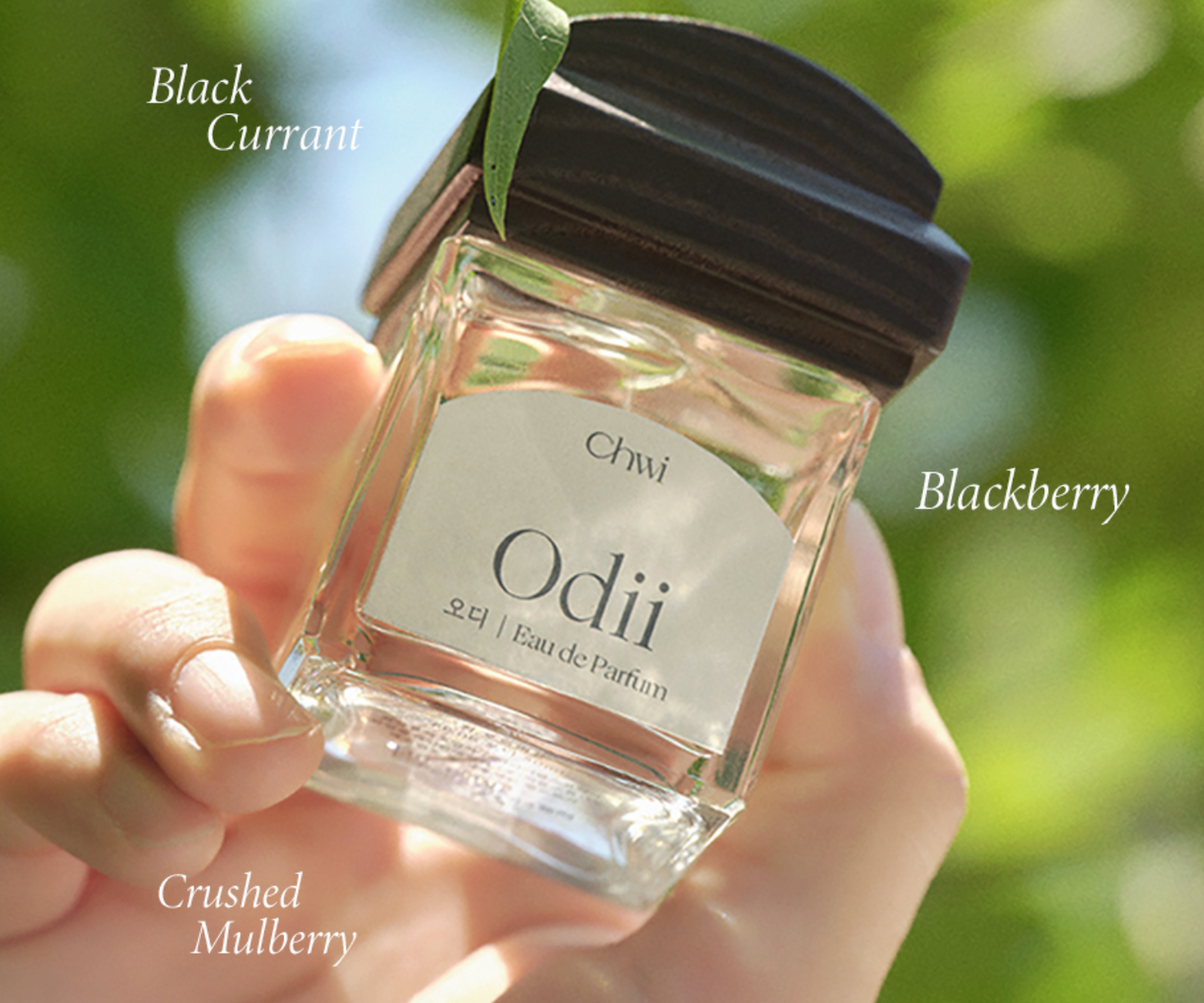 CHWI - Perfume Collection 50ml