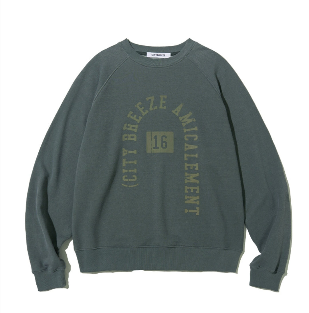 [Nct Doyoung Pick]25FW Citybreeze Pigment Arch Logo Sweatshirt