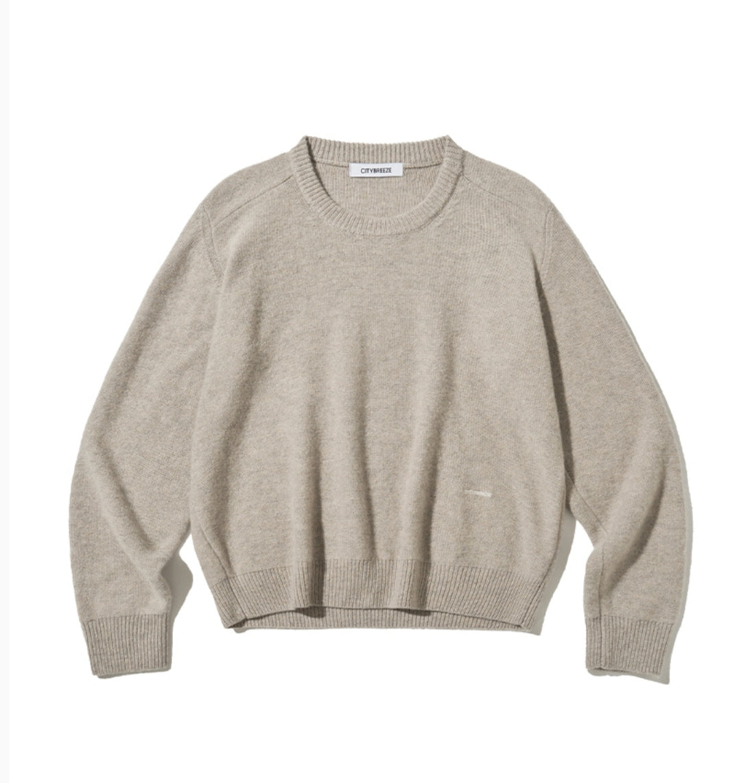 [Nct Doyoung Pick]25FW Citybreeze Wool Essential Round Neck Knit