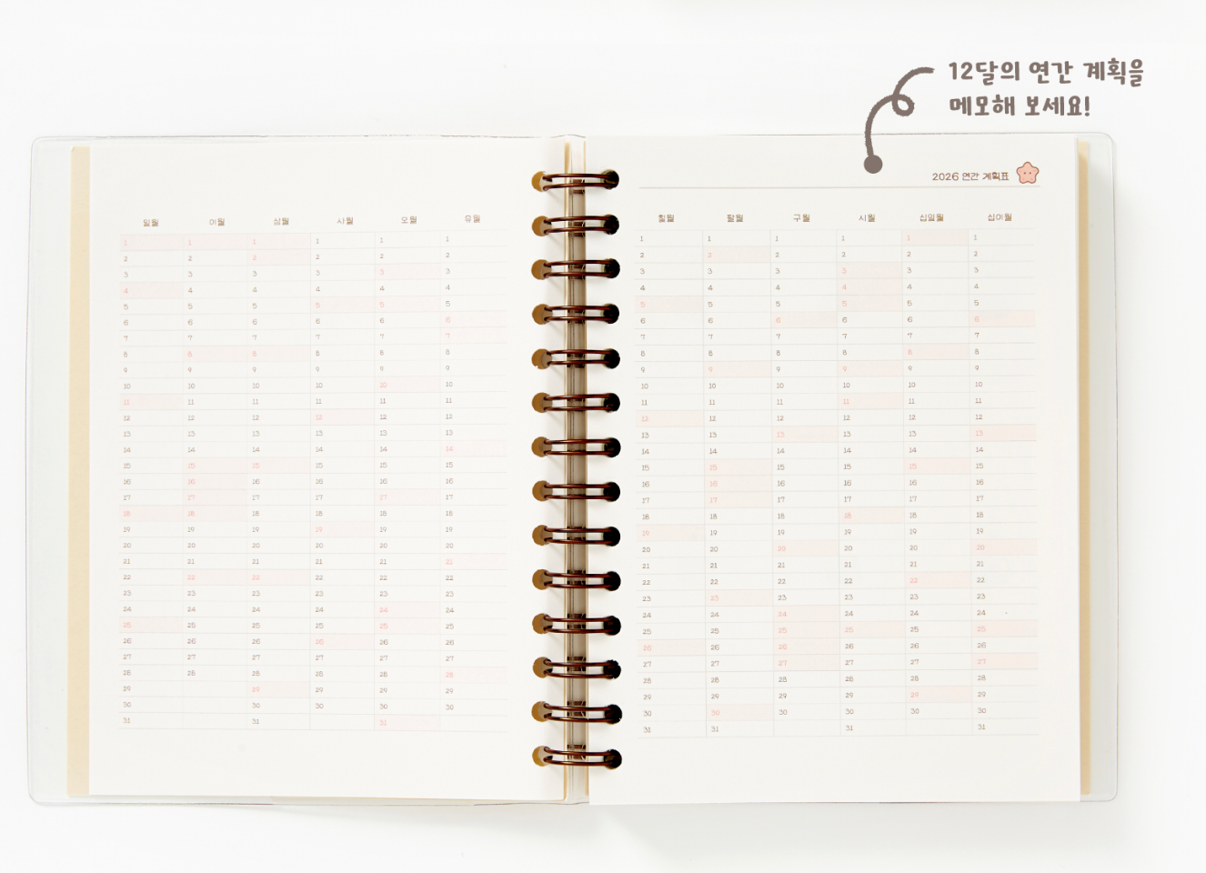 ARTBOX - 2026 Lucky Twelve Months Story Diary