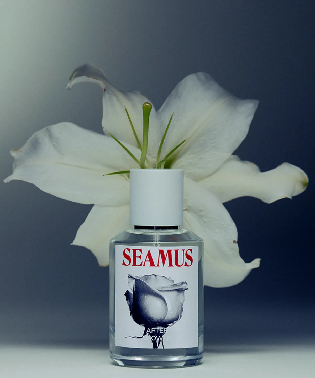 Seamus Signature Eau de Parfum 50ml