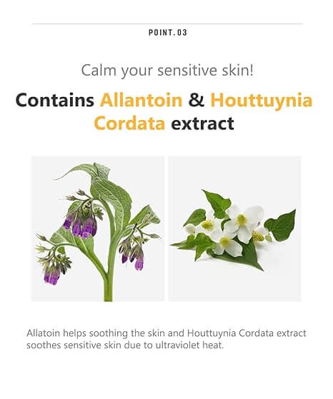 Allantoin and Houttuynia Cordata extract for soothing and calming sensitive skin.