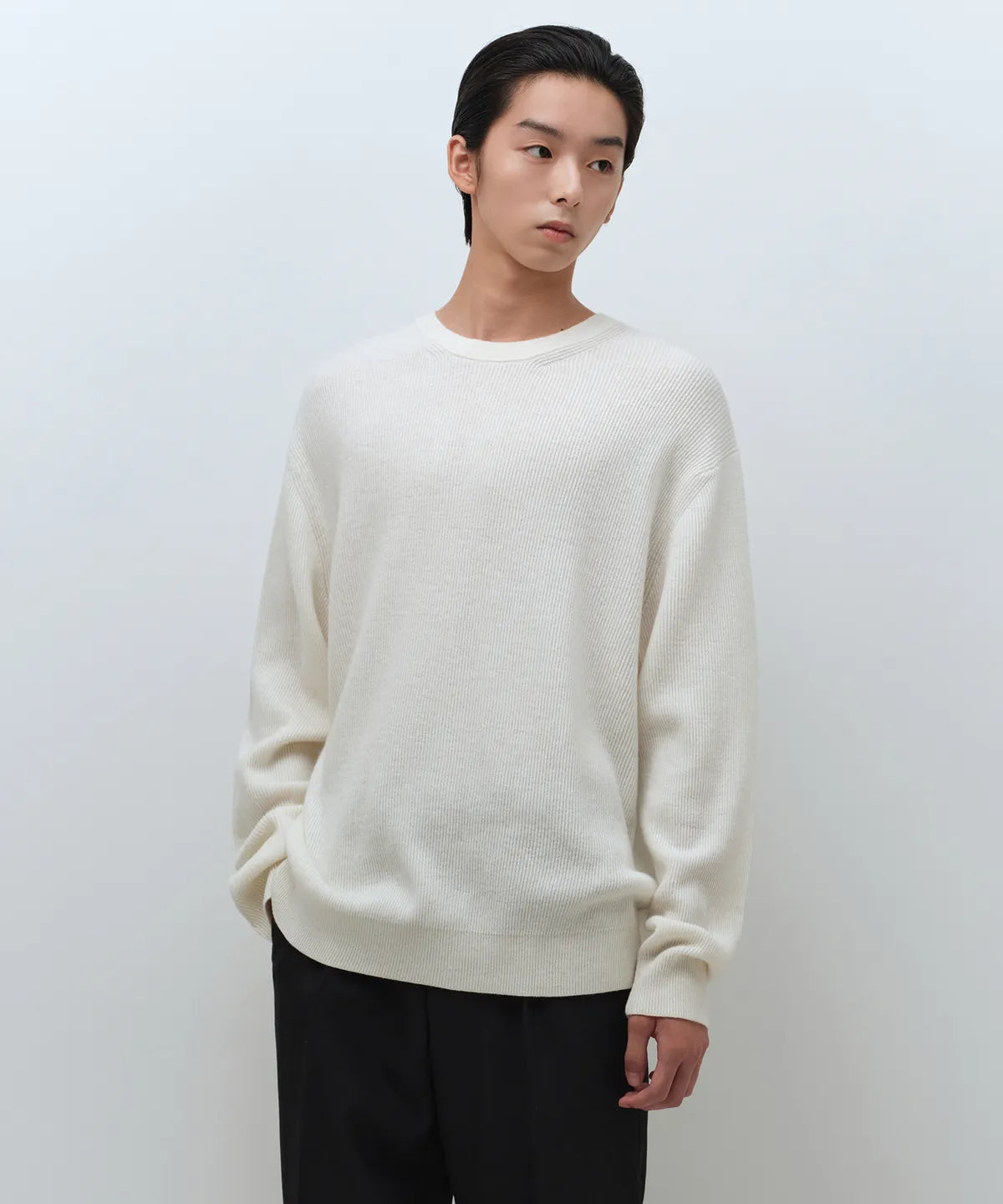 [Lee Do-hyun Pick] 25FW MS Minimal Ribbed Crew Neck Knit-Black