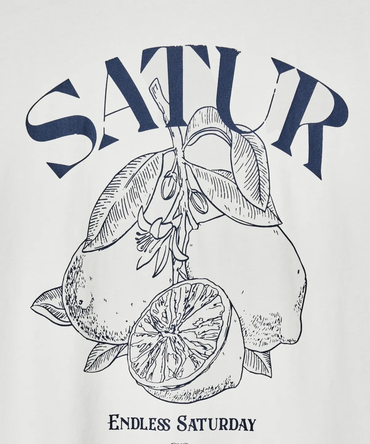 Seventeen Jeonghan and Gyu-young PIck Satur Capri Citron Drawing Summer Graphic Short Sleeve T-Shirt Resort