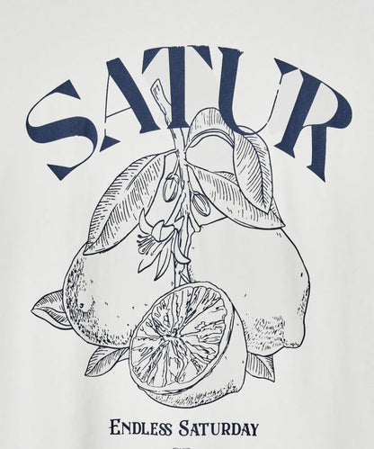 Seventeen Jeonghan and Gyu-young PIck Satur Capri Citron Drawing Summer Graphic Short Sleeve T-Shirt Resort