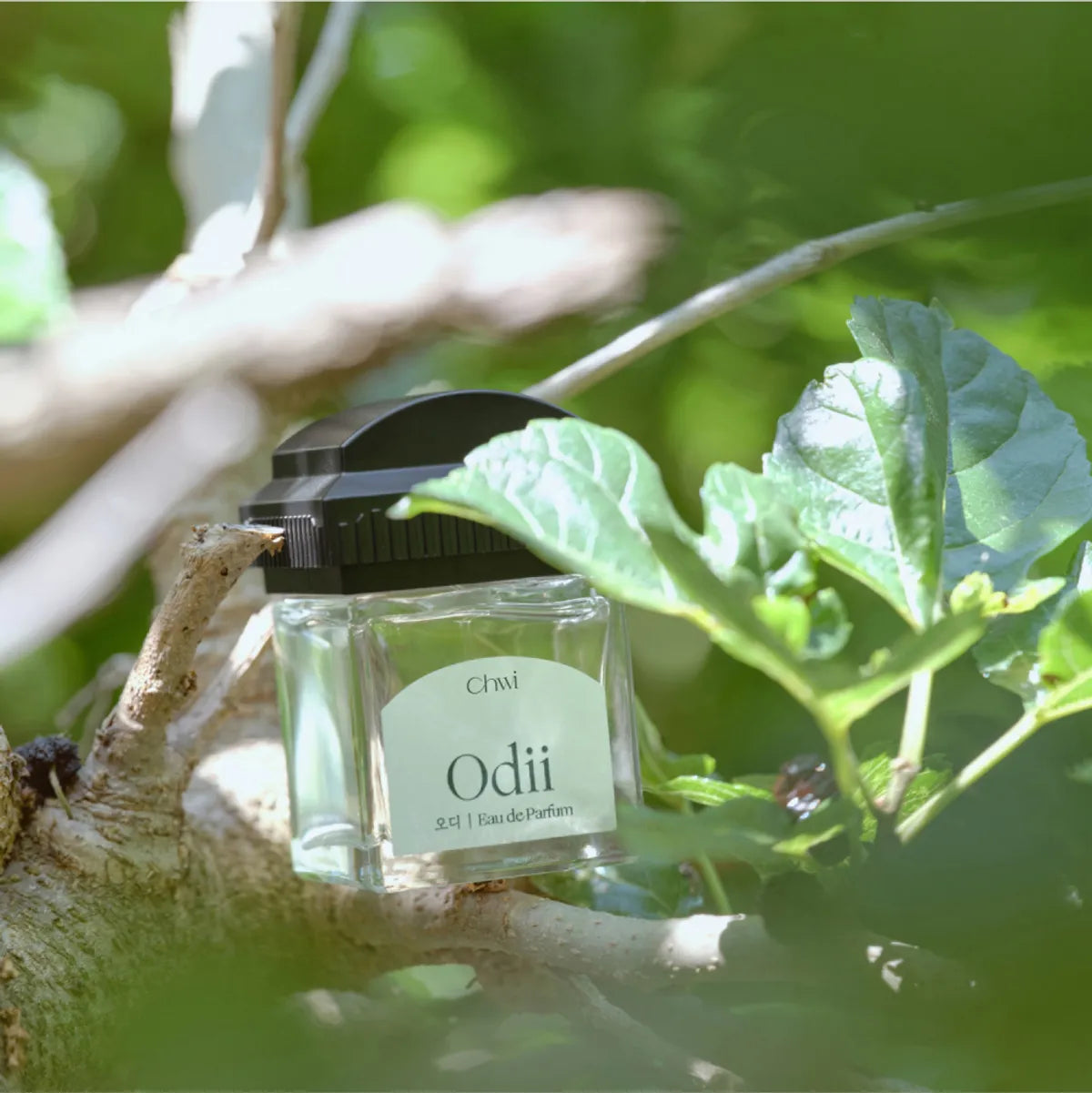 CHWI Eau de Parfum Odii 50ml