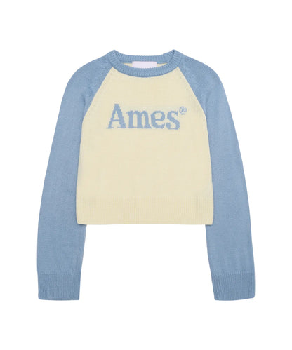 [Qwer Pick] 25FW Ames Basic Raglan Pullover Knit