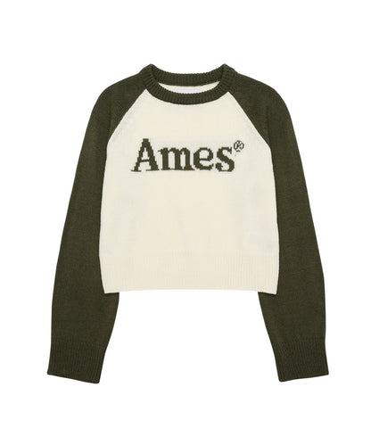 [Qwer Pick] 25FW Ames Basic Raglan Pullover Knit