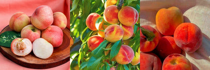 AMANTE Flat Peach EDP 30ml