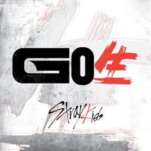 Stray Kids GO Live - 1st Album