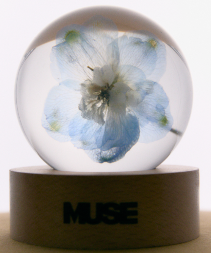 BTS Jimin Muse Merch - Paper Weight