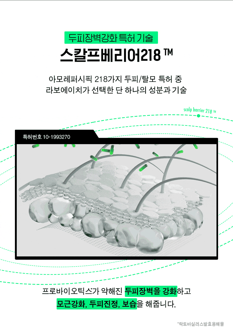 [Ive Yujin Pick] Labo H Scalp Strengthening Clinic Hairline Ampoule 50ml